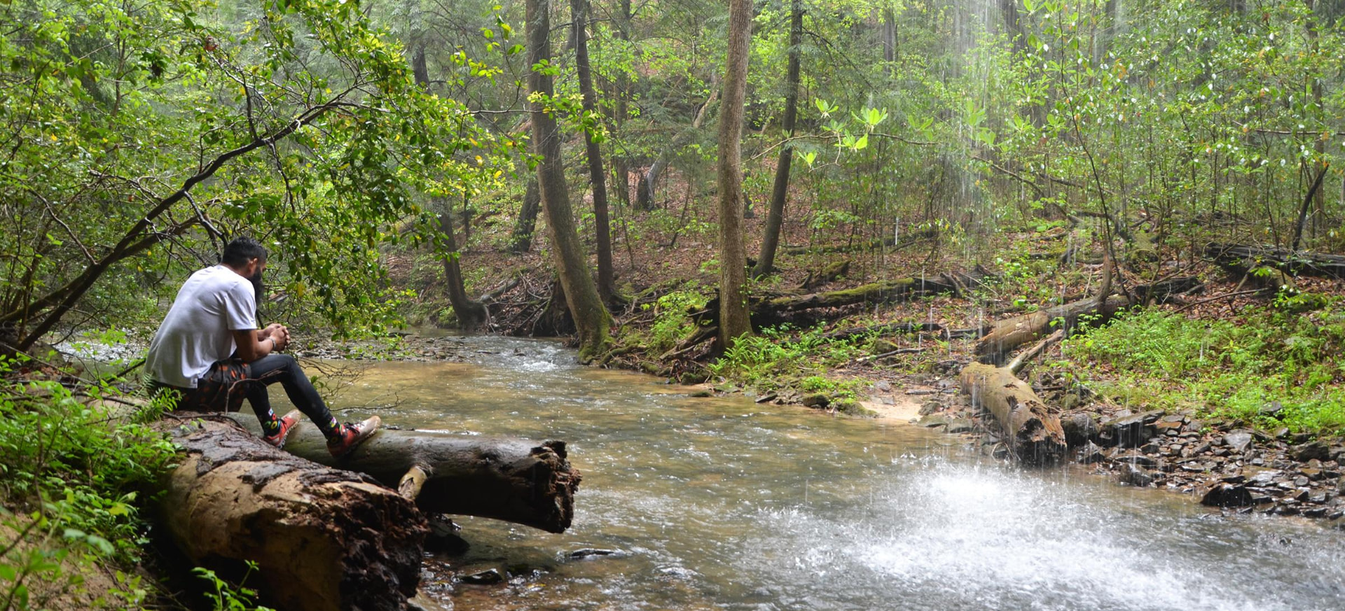 Joel Cruz sitting on a fallen log beside a creek in the Bankhead National Forest